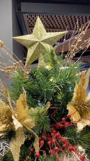 Estrella dorada y flores de pascua doradas en la punta de un árbol