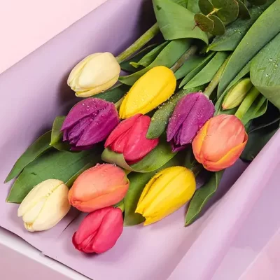 Caja 10 Tulipanes Perfectos (Elige color)