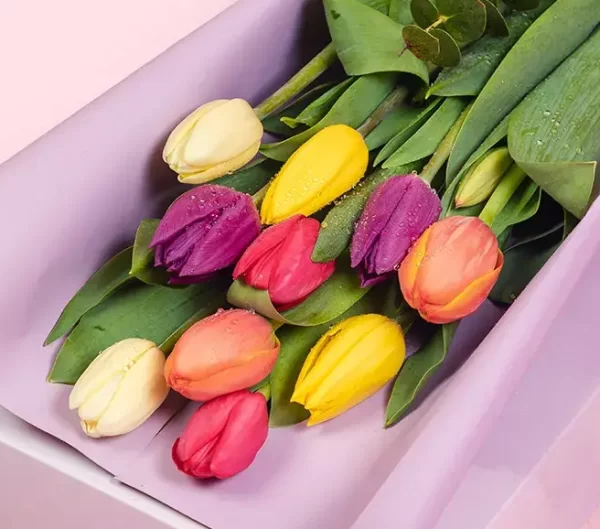 Caja 10 Tulipanes Perfectos (Elige color)