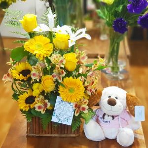 Recién Nacido Luz (Elige el color del peluche) - Floreria Encactus Vina del Mar