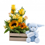 Alegre Despertar de Bebé (Elige peluche)