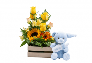 Alegre Despertar de Bebé (Elige peluche) - Floreria Encactus Vina del Mar