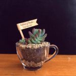 Recuerdos de Matrimonio, Bautizos, Aniversarios