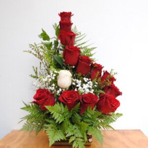 PROMO Caracola de Rosas (Elige color)