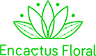 Aros Cactus Colgante – Variedades