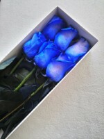 Caja Azul Ilusión Caja Azul Ilusión