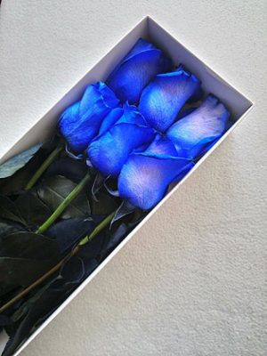 Caja Azul Ilusión