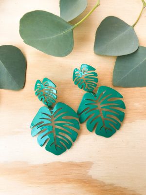 Aros Monstera Colgante - Variedades - Floreria Encactus Vina del Mar