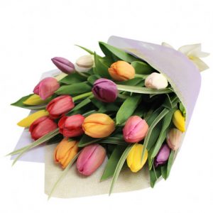 Gran Ramo de 30 Tulipanes (Elige color)