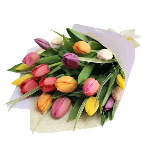 Ramo 20 Tulipanes (Elige color) | Encactus Floral