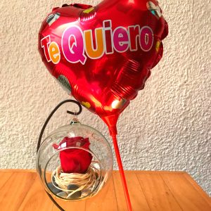 Pack Pequeña Eternidad Variedad de Colores (incluye Globo Pequeño)