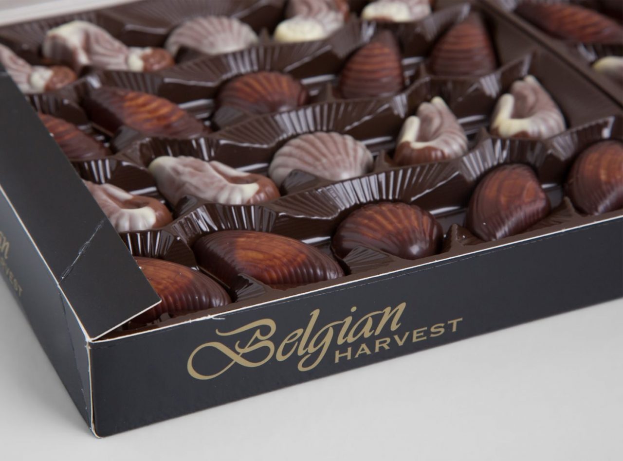 Belgian Harvest Seashells Caja de 20 Bombones de Chocolate | Encactus