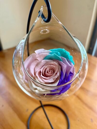 Rosa Eterna en esfera de vidrio (Elige color) - Floreria Encactus Vina del Mar