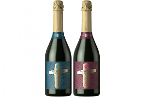 Premium Sparkling Wine Espumante 1 un. - Floreria Encactus Vina del Mar