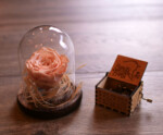 Pack Notas Eternas Rosa Preservada en Fanal de Vidrio + Caja Musical