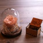 Pack Notas Eternas Rosa Preservada en Fanal de Vidrio + Caja Musical - Floreria Encactus Vina del Mar