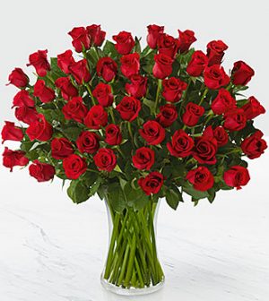 50 Rosas Ecuatorianas de Florero de Vidrio (Elige color)