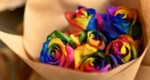 6 Rosas Arcoiris en Kraft