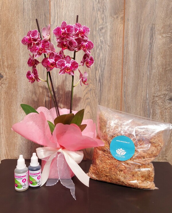 Pack Promocional Orquídea Mediana + Sustrato +Fertilizante