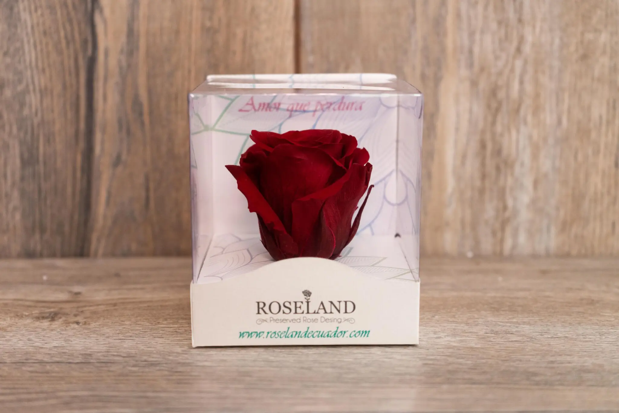 Rosa Eterna Caja Roseland (Elige color) | Encactus Floral