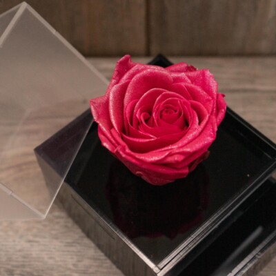 Rosa Eterna Caja Roseland (Elige color)