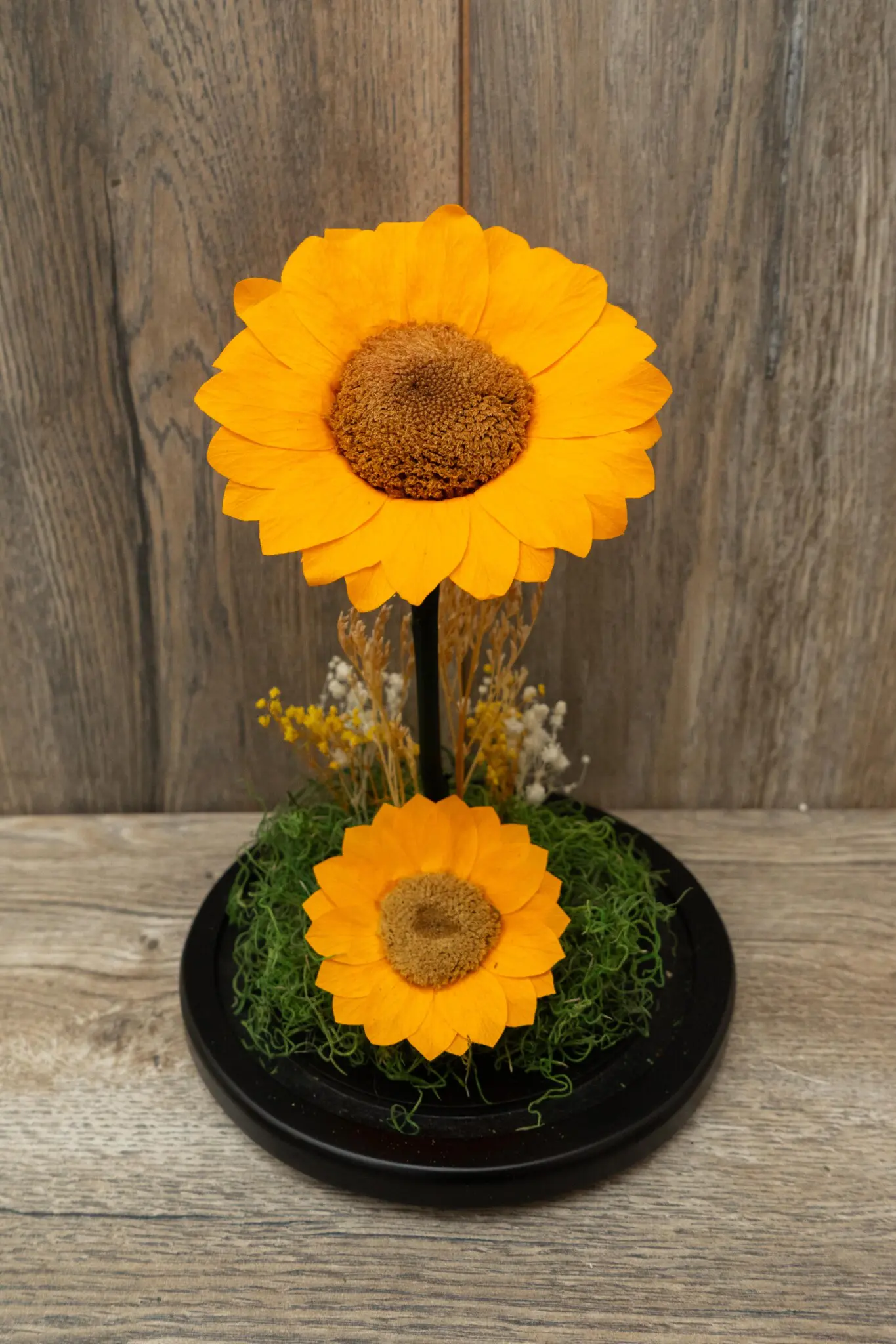 Girasol Doble en Cúpula de Vidrio | Encactus Floral