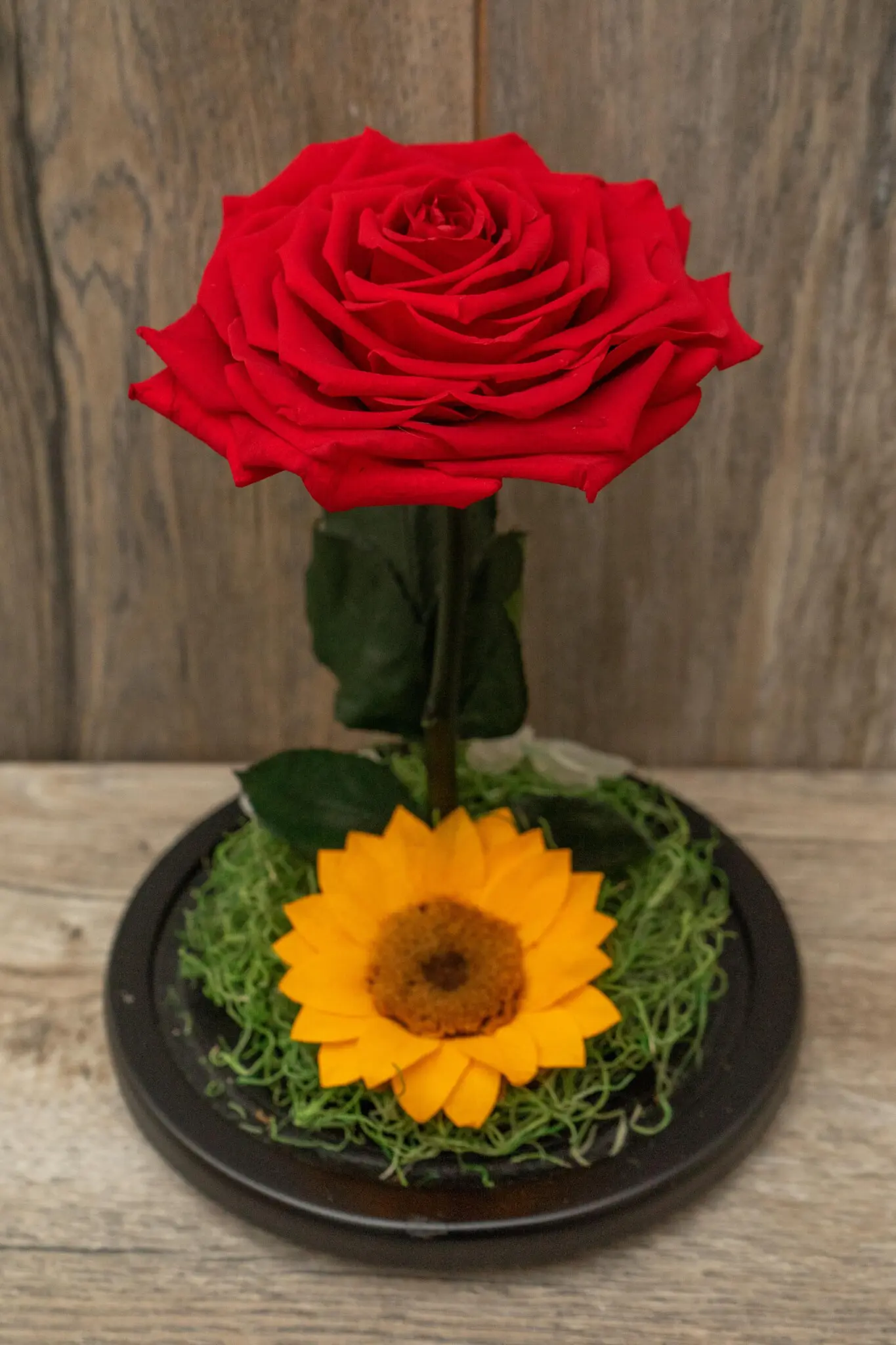 Rosa y Girasol en Cúpula (Elige color) | Encactus Floral