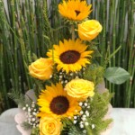 Arreglo Escalera Radiante