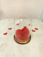 Rosa Eterna Corazón Jumbo en Cúpula de Vidrio