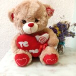 Peluche Oso Café Corazón Mediano Te Amo