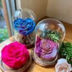 Rosa Eterna Corazón Jumbo en Cúpula de Vidrio