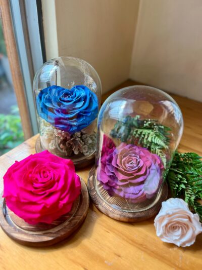 Rosa Eterna Corazón Jumbo en Cúpula de Vidrio - Floreria Encactus Vina del Mar