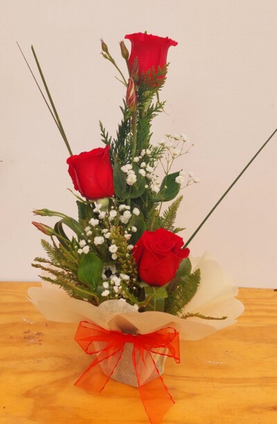 Tres Corazones en base