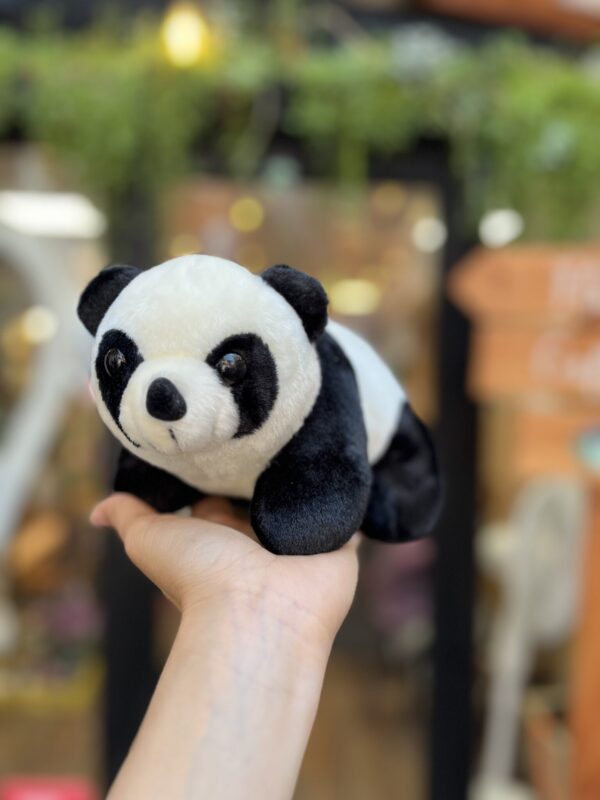 Osito panda esperanzado