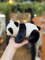 Osito panda esperanzado Osito panda esperanzado