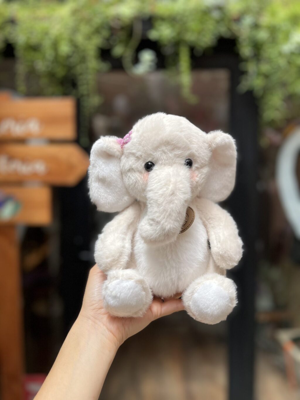 Elefante bebé