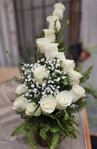 Caracola de Rosas Blanca