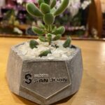 Recuerdos para Eventos 1