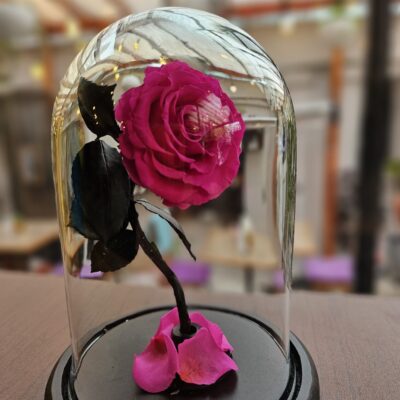Rosa preservada mini en cajita tipo cristal