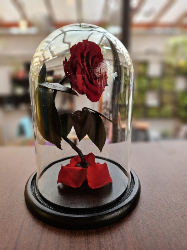 Rosa Encantada en vidrio (elige color)