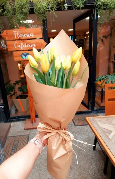 Ramo tulipanes amarillos 10 varas – Flores amarillas - Florería Encactus Viña del Mar