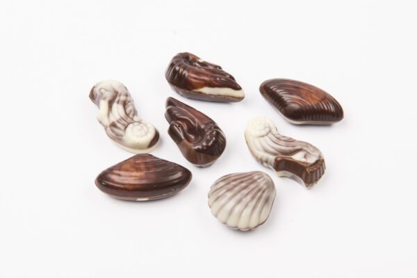 Bombones De Chocolates Belgian Seashells Caramel 65g.