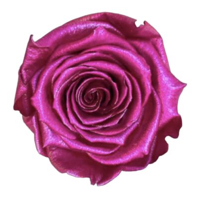 Rosa Eterna en gota de vidrio (Elige color y tamaño)