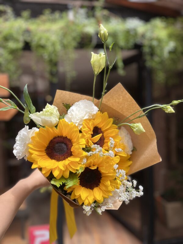 Girasoles bajo la luna