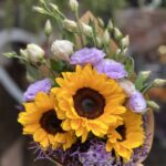 Girasoles bajo la luna