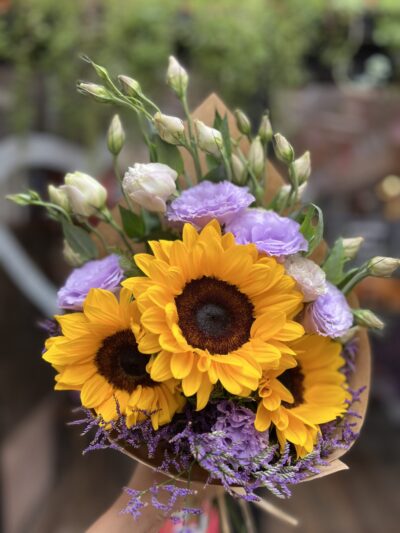 Girasoles bajo la luna