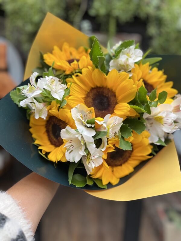 5 girasoles y astromelias