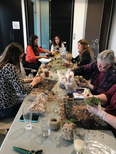 🌵 Curso Presencial: Suculentas y Cuadros Vivos - Floreria Encactus Vina del Mar