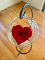 Rosa Eterna Corazon en esfera de vidrio (Elige color)
