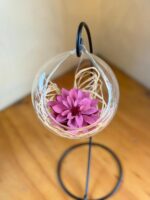 Dalia preservada en esfera de Vidrio (Elige color)